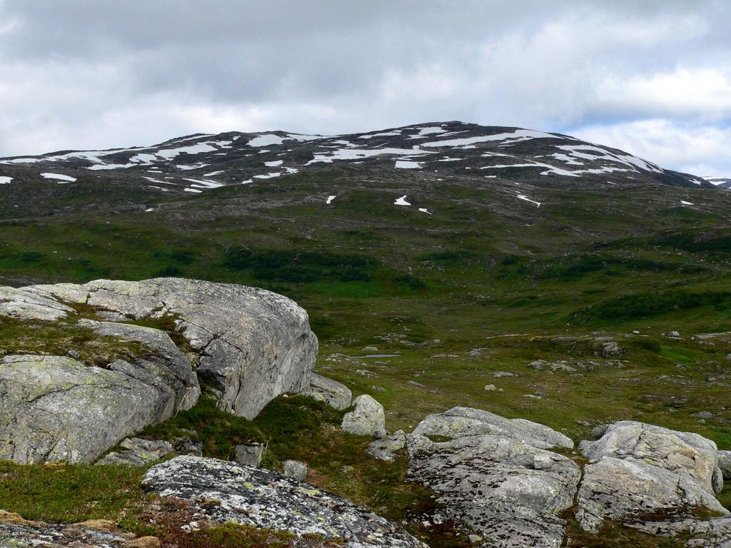 5. Områdets betydning som viltområde Sundsfjordfjellet er et unikt område rent geologisk og landskapsmessig (Uttakleiv 2008).