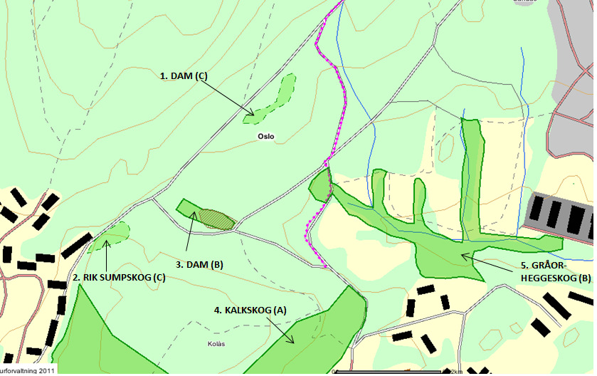 Figur 1: Kartutsnittet dekker området hvor det er aktuelt å etablere skiskytteranlegg ved Linderud. Kartet viser for øvrig naturtypelokaliteter fra DNs naturbase.