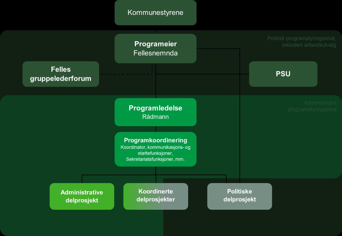 6. Roller og ansvar i programorganisasjonen 6.1 Overordnet prosjektorganisering Å bygge en ny kommune krever en solid programorganisering, med tydelige roller og ansvarsforhold.