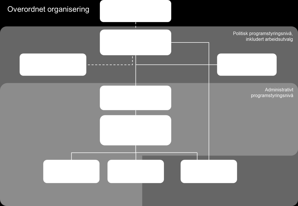 prinsipper for organiseringen av programmet (kapittel 6).