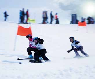 Spesifikke rammer for skigrenene langrennscross alpint Generelle rammer for gjennomføring Arrangere minimum tre skirenn i Telenor Karusellen fra januar til mars. Bruke navnet Telenor Karusellen.