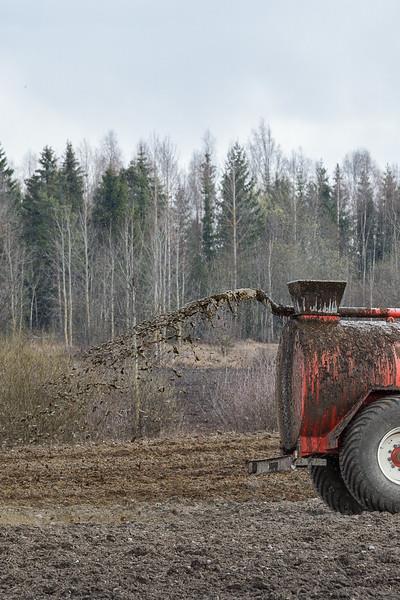 Gjødsling og håndtering av husdyrgjødsel Utnyttes nitrogenet i husdyrgjødsla optimalt?