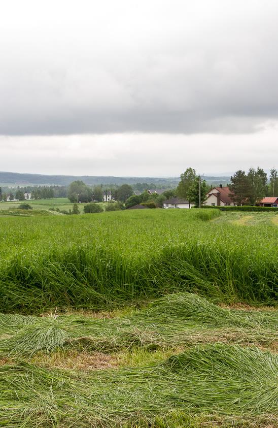 Jordpakking Hvordan oppleves problemer med pakking på gården?