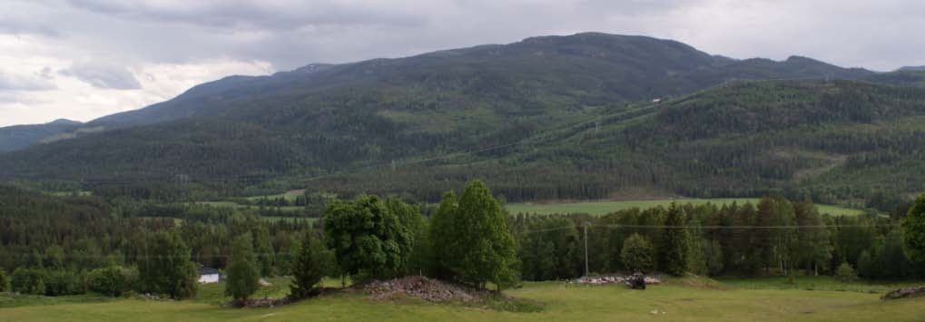 Konklusjoner Økosystemtjenester: fordeling av velferdsøkninger og tap ved vern, bruk og restaurering av natur Prosjektvis nytte-kostandsanalyse : stykkevis