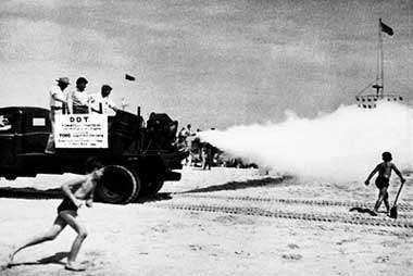 Children played in clouds of DDT sprayed on beaches and in neighborhoods in the 1950s.