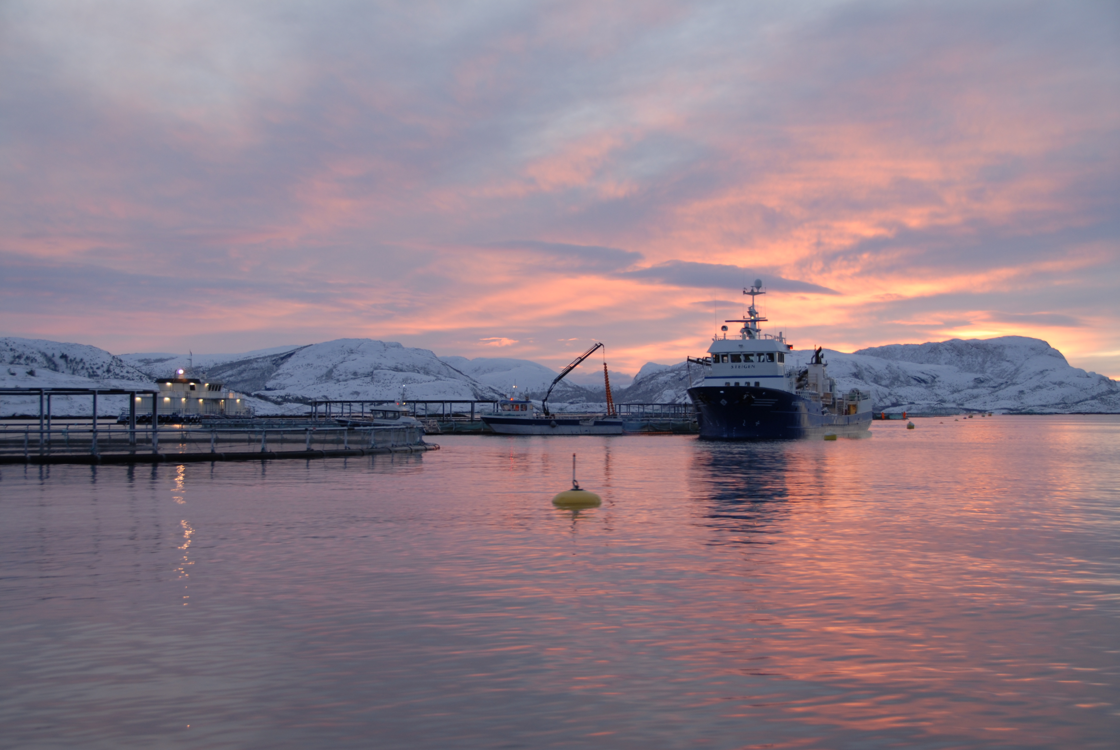 2.1. Redusere forekomsten av lakselus slik at skadevirkninger på fisk i akvakultur og i frittlevende bestander minimaliseres Lusemengde, fordelt på ulike stadier og totalt, årstidsvariasjoner,