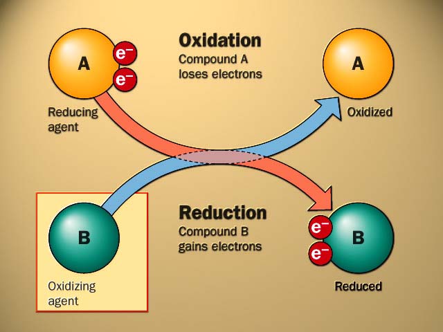 + Energi Oksydert molekyl ydrogenatomer Redusert molekyl I cellene skjer oksydasjons- og reduksjonsprosesser