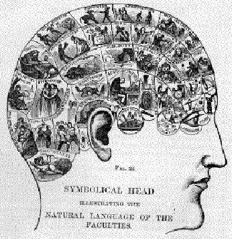 Franz Josef Gall Frenologi er da forholdet mellom personlighet og hjernestruktur, hvor (a) Ulik personlighet og ulike intellektuelle attributter (faculties) ble assosiert med