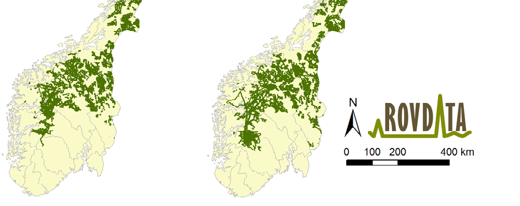 Yngleregistreringene er også vurdert opp imot alle registrerte synsobservasjoner av flere jerver i lag i perioden (1. juni 1.