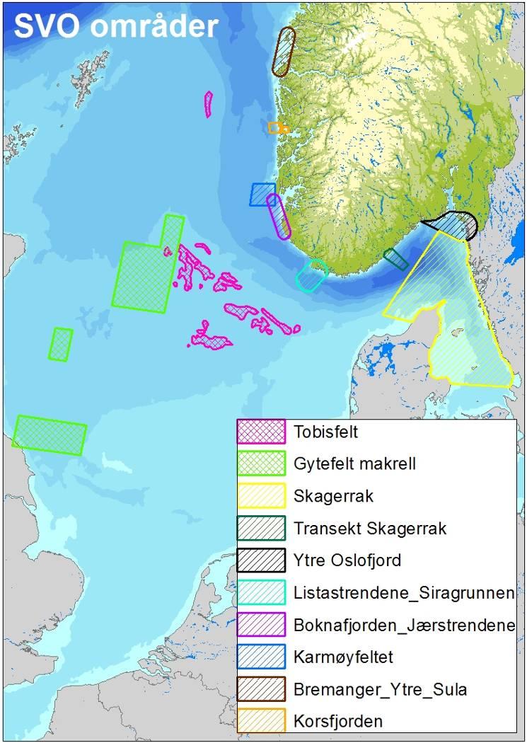 Figur 4-29 Særlig verdifulle områder (SVO) i Nordsjøen (DN&HI, 2010). Tabell 4-3 Særlig verdifulle områder (SVO) i Nordsjøen med kriterier for prioritering.