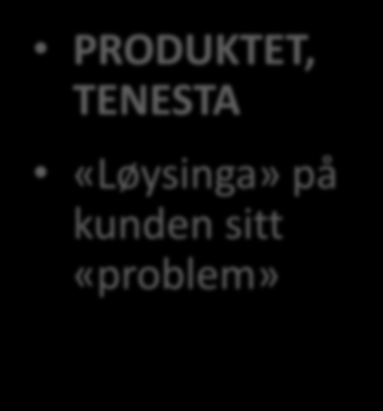 PRODUKTET, TENESTA «Løysinga» på kunden sitt