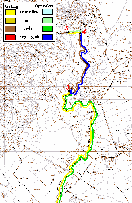 Reddalsåna, bestandsvurdering Vassdrag 019.