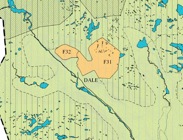 2. Kart over område Dale Aust (F31 og F32), målestokk ikkje kjent.