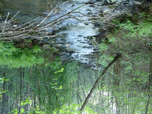 Jordet ved Dæli med Dæli gård til høyere og Listua til venstre (09.06.2003). På dette jordet oppholdt seg flere viper frem til midten av juni.
