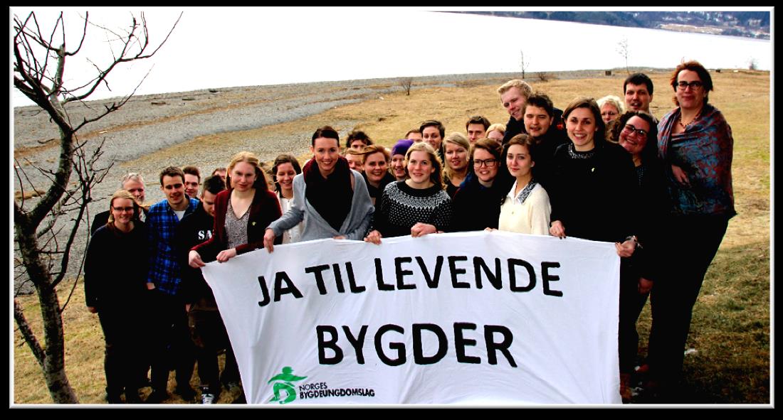 LANGTIDSSTRATEGI 2014-2019 NBUS STRATEGISKE POSISJON Norges Bygdeungdomslag (NBU) er en landsdekkende organisasjon av og for ungdom som jobber for levende bygder og for å tilby våre medlemmer alle