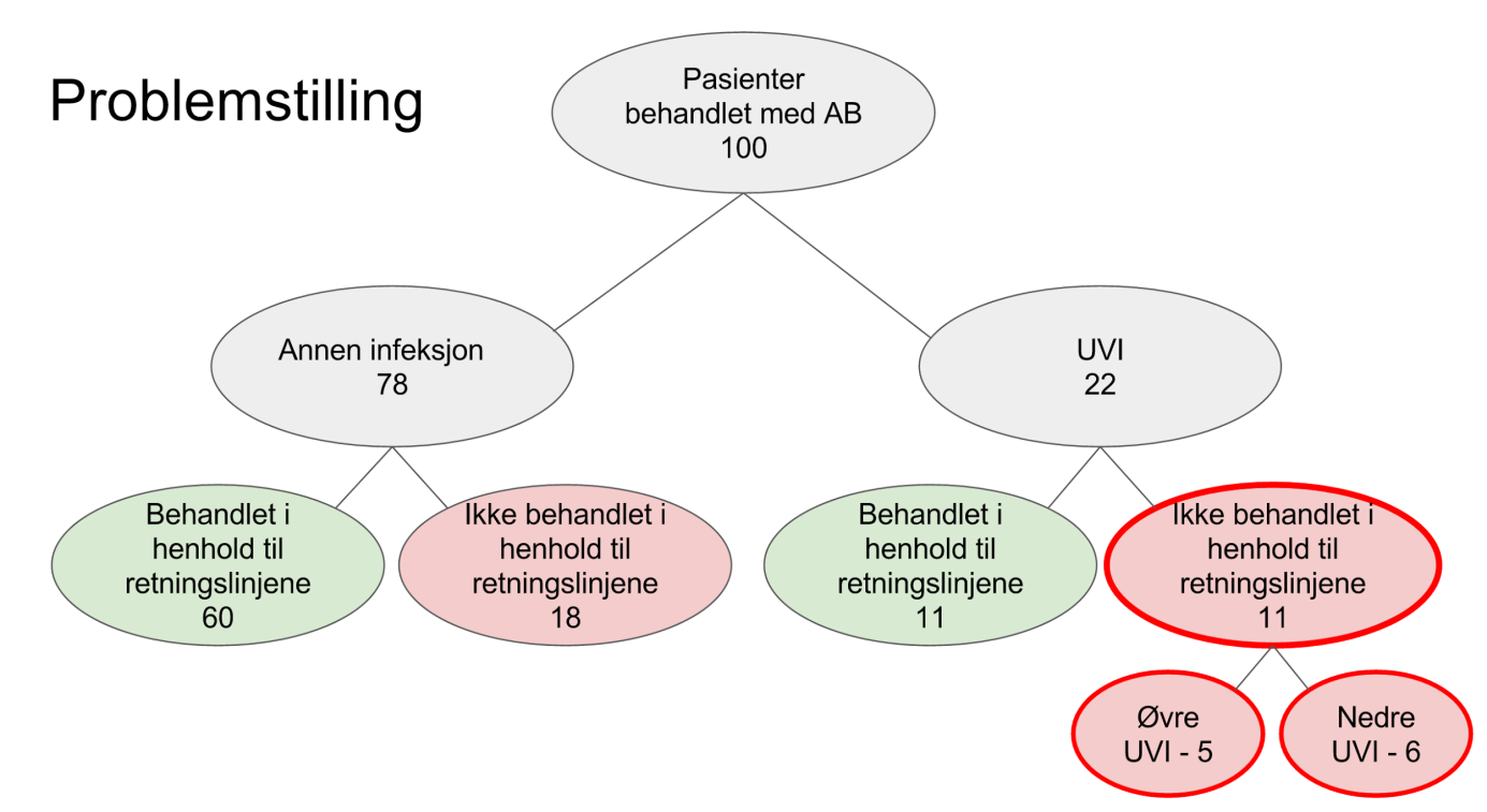 1 Tema/problemstilling 1.