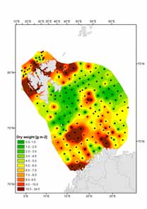 22 RAPPORT FRA OVERVÅKINGSGRUPPEN 2010 Indikatoren for artssammensetning er fortsatt i etableringsfasen. Prøver til beskrivelse av artssammensetning skal samles ved Fugløya Bjørnøya-snittet.