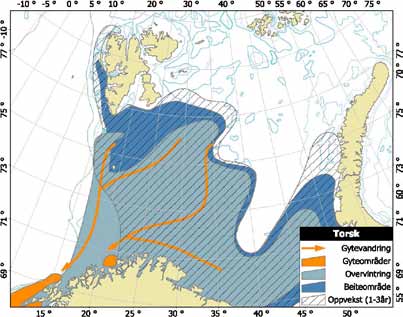 4.6 Fiskebestander det fiskes på Den viktigste effekten av fiskeriene er i dag den tilsiktede beskatningen på de kommersielle fiskebestandene som medfører endring av bestandsstørrelsen.