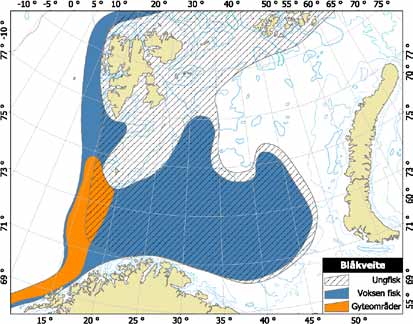 30 RAPPORT FRA OVERVÅKINGSGRUPPEN 2010 4.6.3 Gytebestand hos blåkveite Institusjoner Havforskningsinstituttet, PINRO og ICES Forfattere Elvar H.