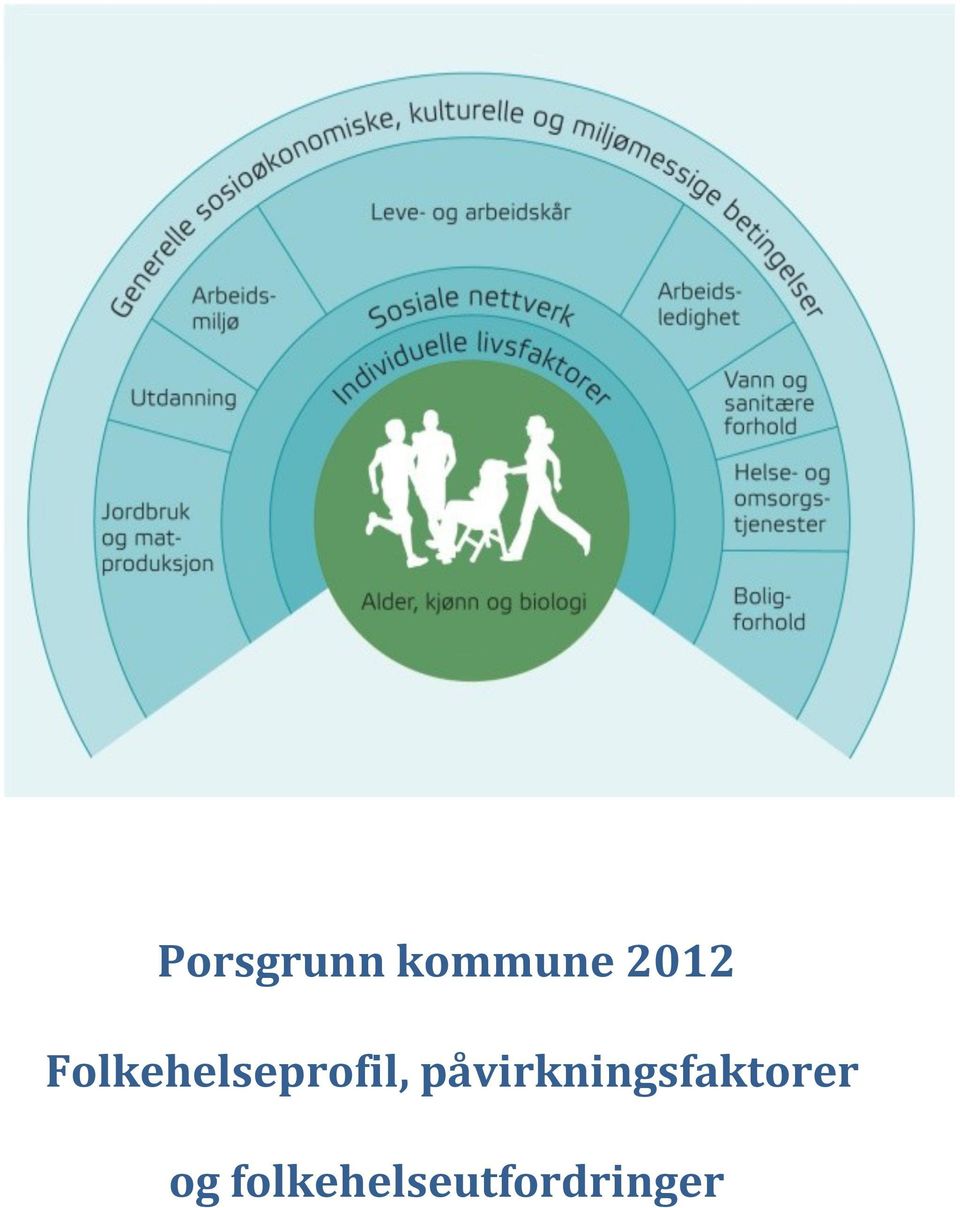 Folkehelseprofil,