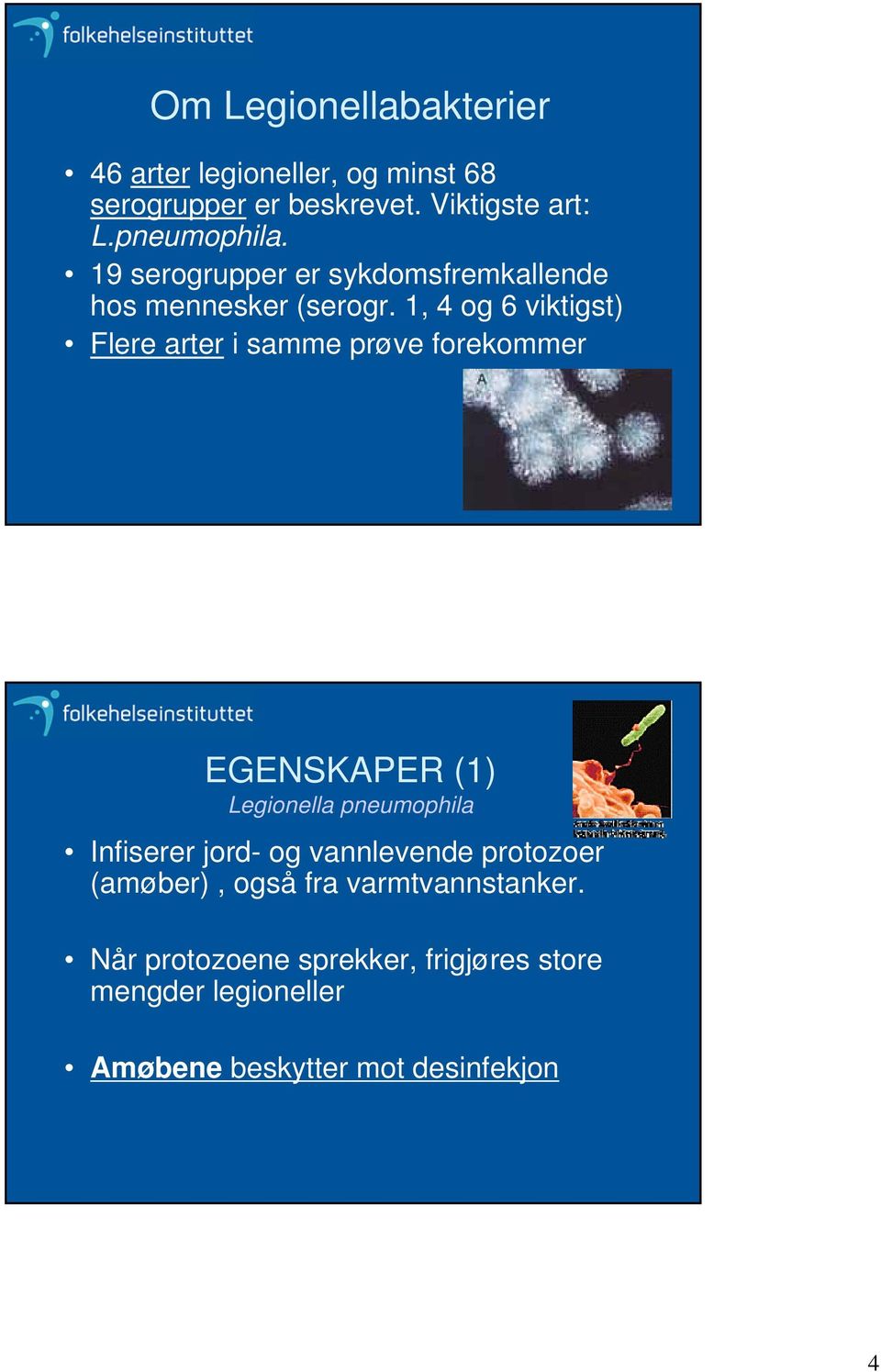 1, 4 og 6 viktigst) Flere arter i samme prøve forekommer EGENSKAPER (1) Legionella pneumophila Infiserer jord-