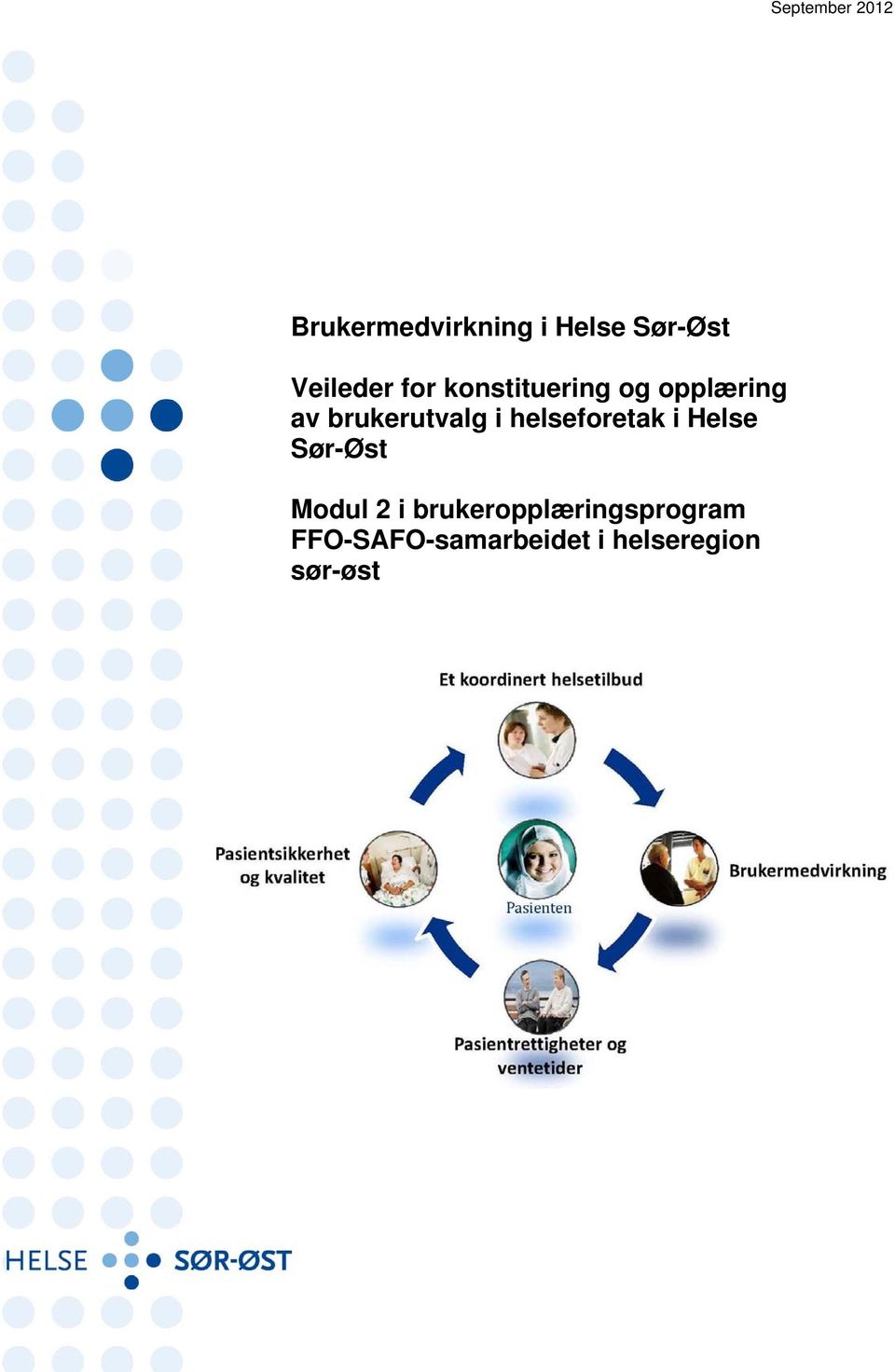 brukerutvalg i helseforetak i Helse Sør-Øst Modul 2