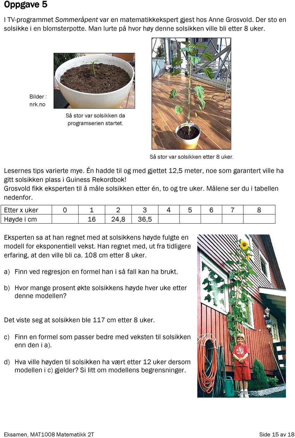 Én hadde til og med gjettet 12,5 meter, noe som garantert ville ha gitt solsikken plass i Guiness Rekordbok! Grosvold fikk eksperten til å måle solsikken etter én, to og tre uker.