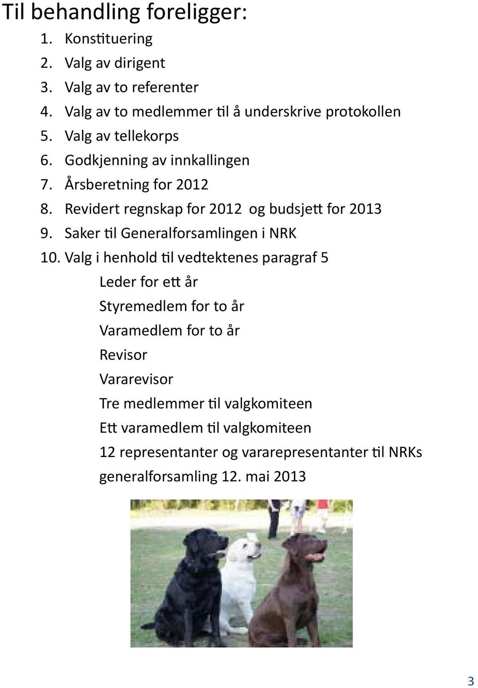 Årsberetning for 2012 Revidert regnskap for 2012 og budsjett for 2013 Saker til Generalforsamlingen i NRK 10.