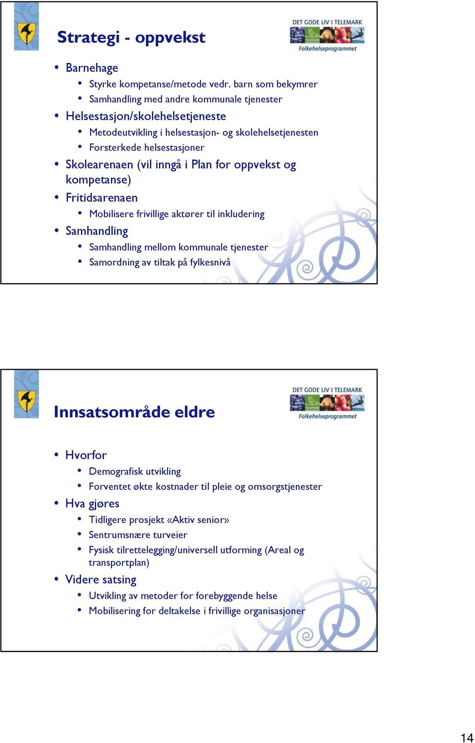 Plan for oppvekst og kompetanse) Fritidsarenaen Mobilisere frivillige aktører til inkludering Samhandling Samhandling mellom kommunale tjenester Samordning av tiltak på fylkesnivå Innsatsområde eldre