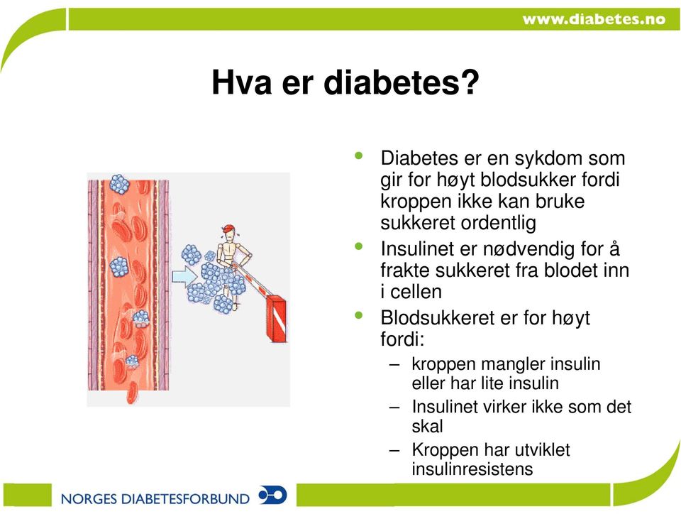 sukkeret ordentlig Insulinet er nødvendig for å frakte sukkeret fra blodet inn i