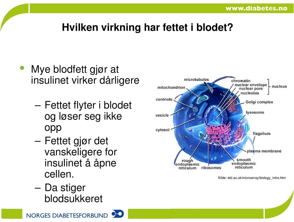 blodet og løser seg ikke opp Fettet gjør det vanskeligere for