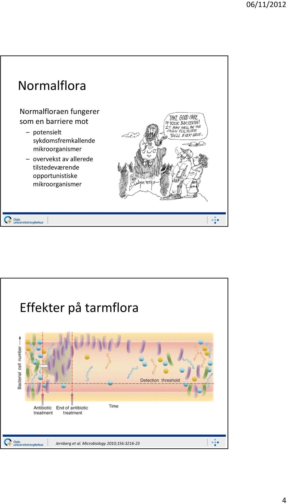 allerede tilstedeværende opportunistiske mikroorganismer