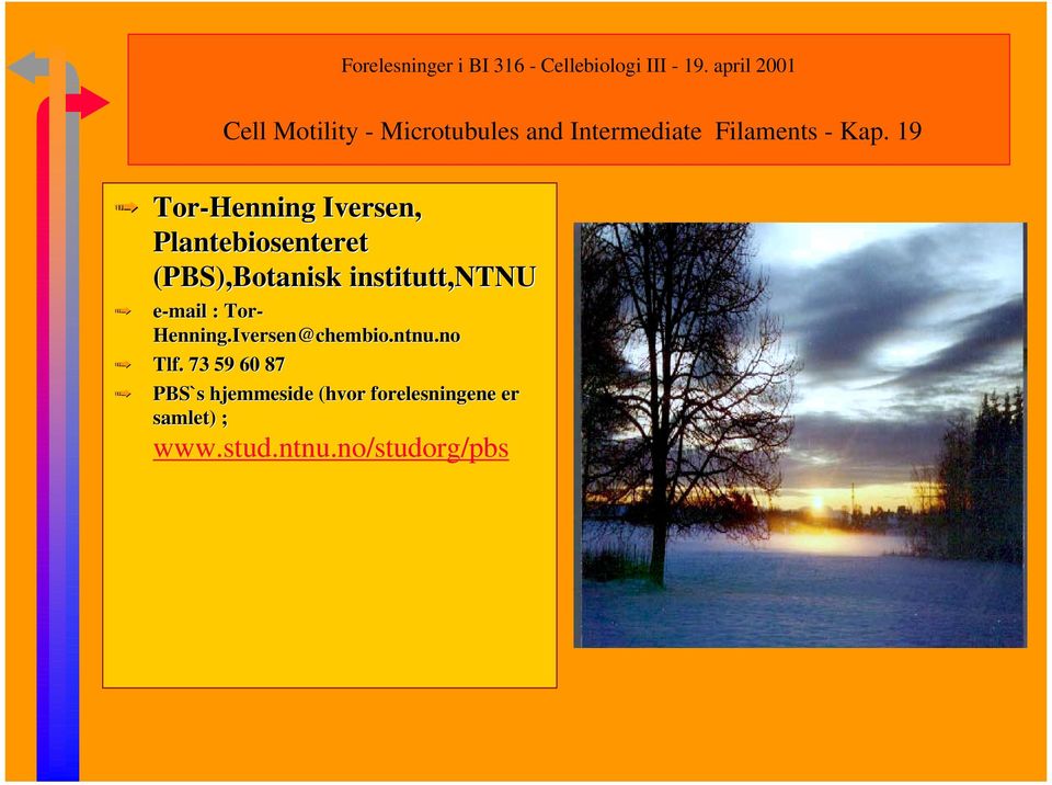 institutt,ntnu e-mail : Tor- Henning.Iversen@chembio.ntnu.no Tlf.