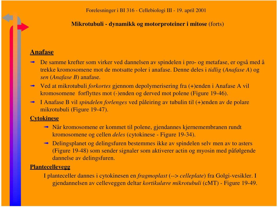 Ved at mikrotubuli forkortes gjennom depolymerisering fra (+)enden i Anafase A vil kromosomene forflyttes mot (-)enden og derved mot polene (Figure 19-46).