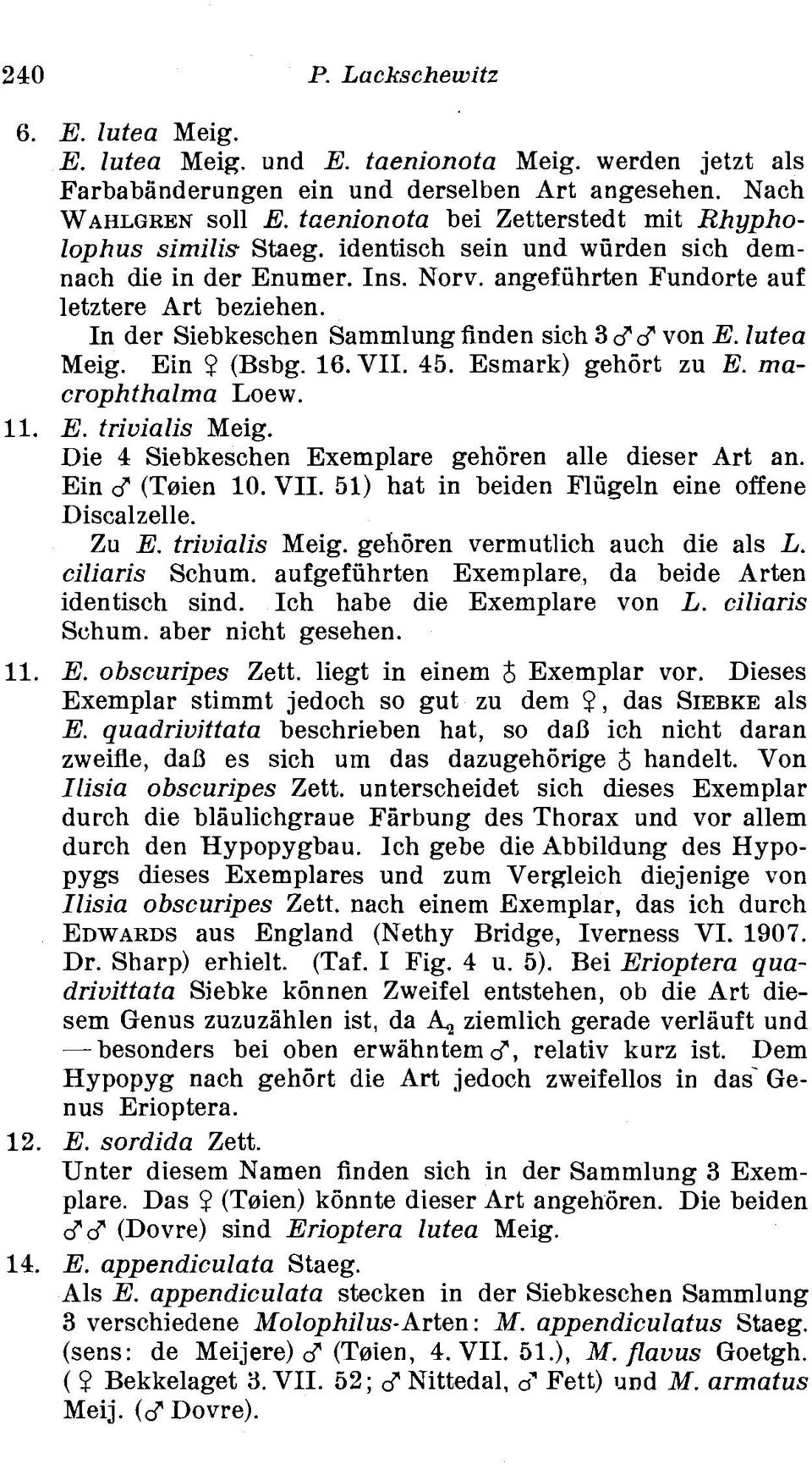 In der Siebkeschen Sammlung finden sich 366 von E. lutea Meig. Ein 9 (Bsbg. 16.VII. 45. Esmark) gehbrt zu E. macrophthalma Loew. 11. E. trivialis Meig.