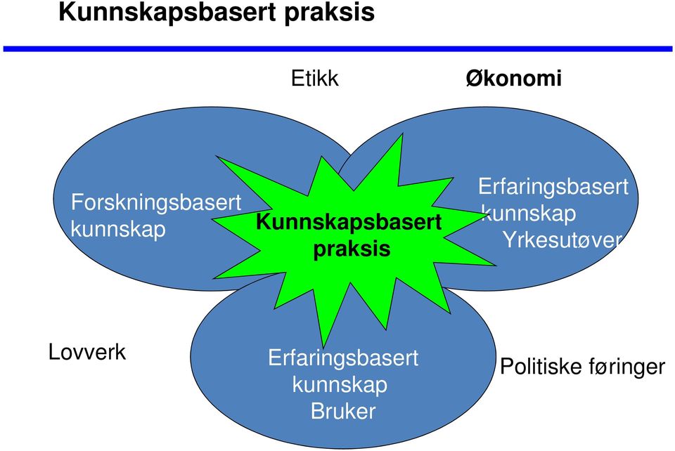 praksis Erfaringsbasert kunnskap Yrkesutøver