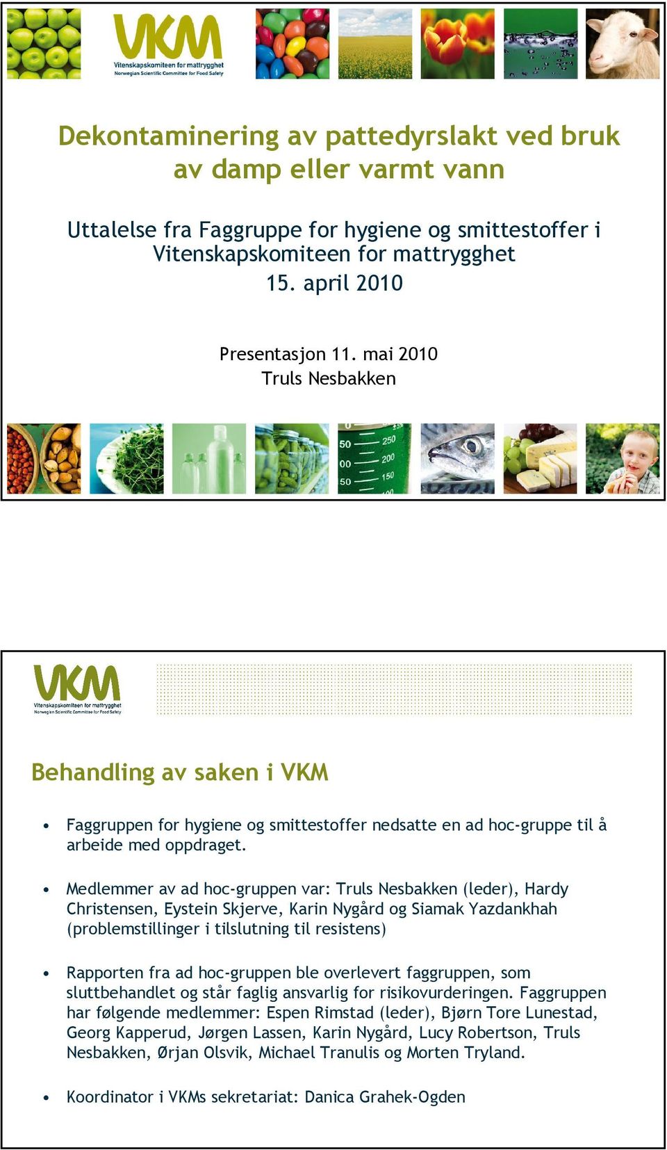 Medlemmer av ad hoc-gruppen var: Truls Nesbakken (leder), Hardy Christensen, Eystein Skjerve, Karin Nygård og Siamak Yazdankhah (problemstillinger i tilslutning til resistens) Rapporten fra ad