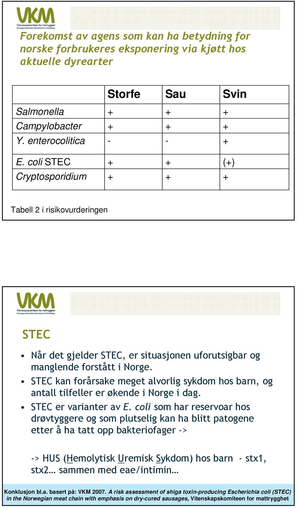 STEC kan forårsake meget alvorlig sykdom hos barn, og antall tilfeller er økende i Norge i dag. STEC er varianter av E.