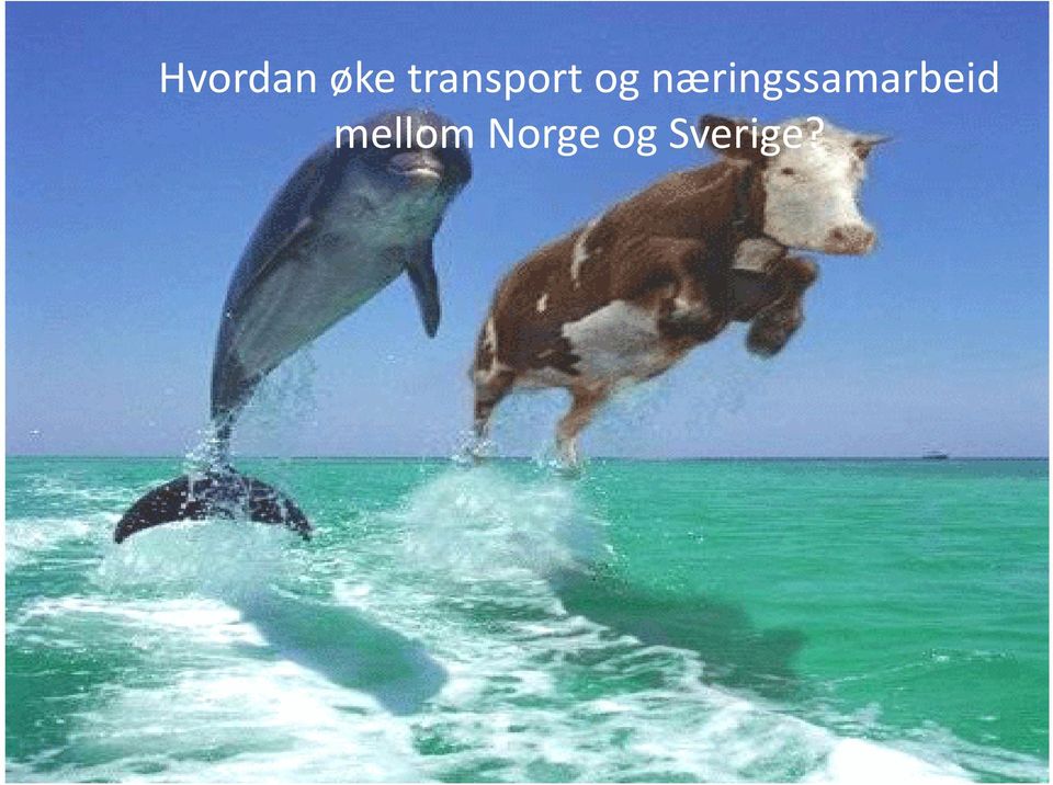 næringssamarbeid