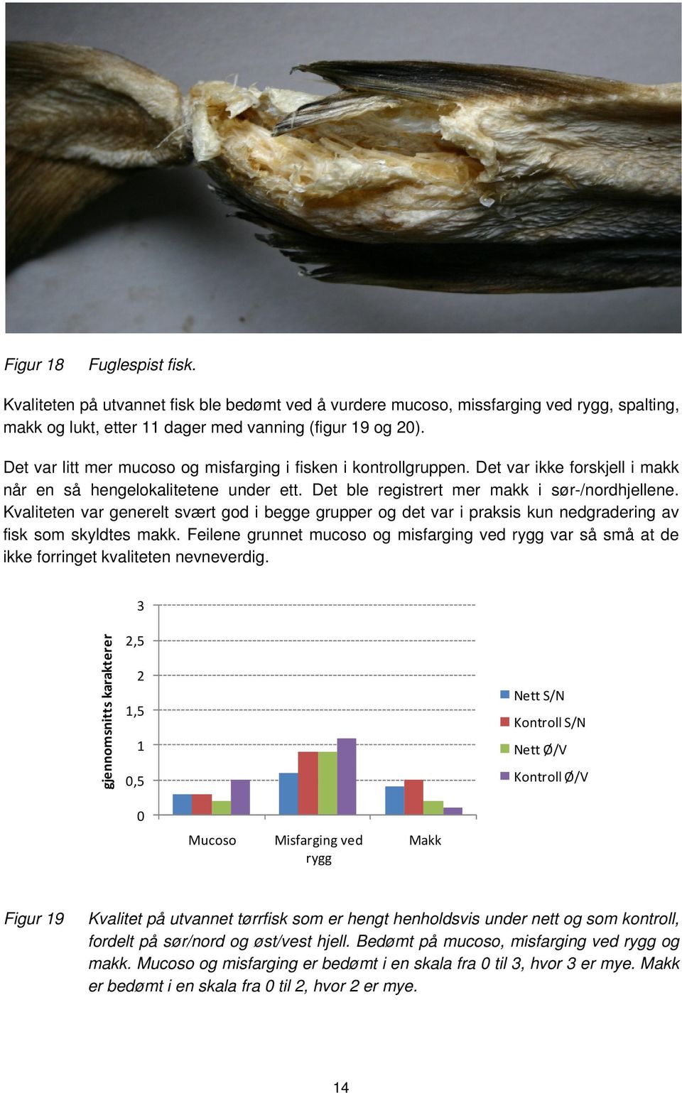 Kvaliteten var generelt svært god i begge grupper og det var i praksis kun nedgradering av fisk som skyldtes makk.