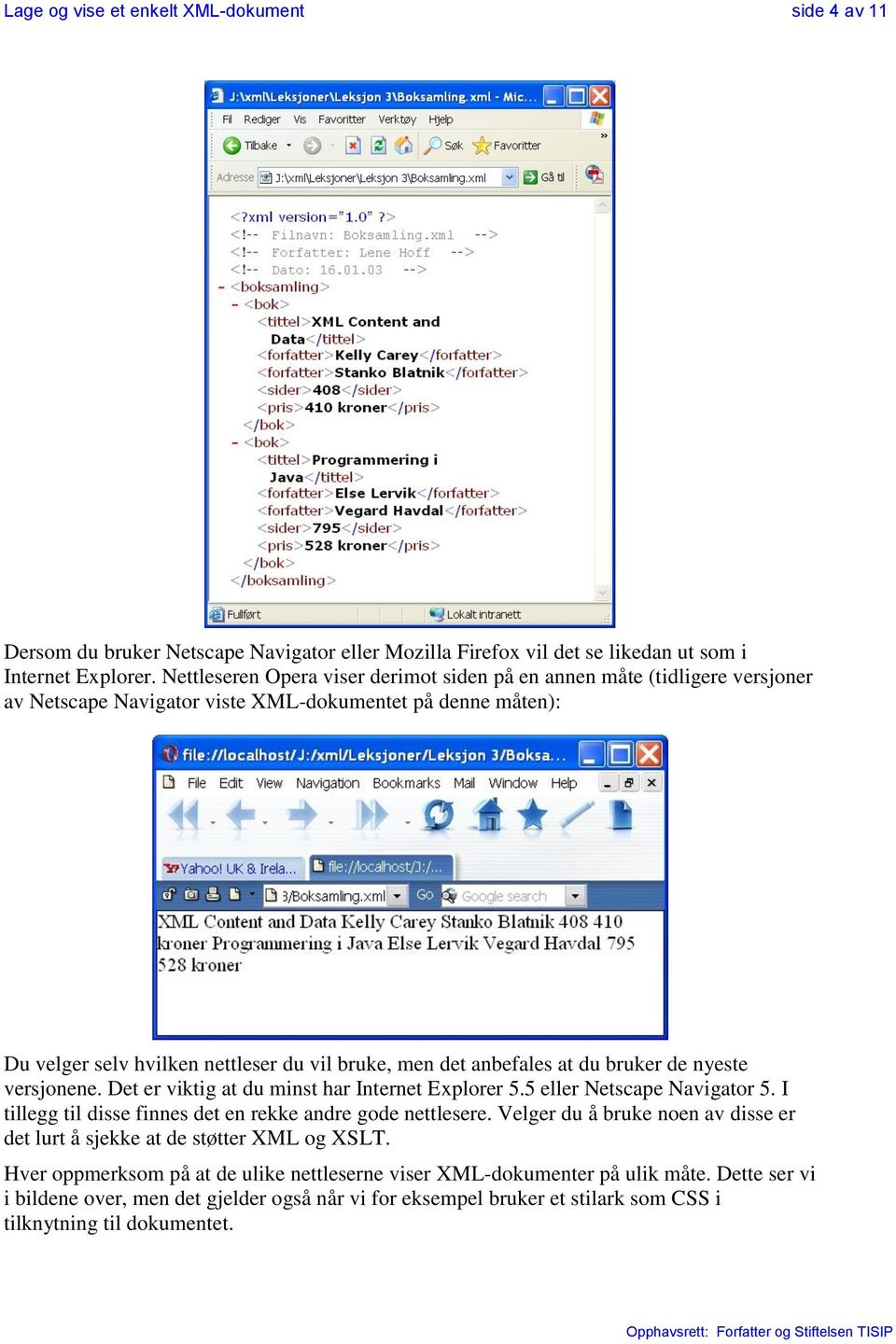 anbefales at du bruker de nyeste versjonene. Det er viktig at du minst har Internet Explorer 5.5 eller Netscape Navigator 5. I tillegg til disse finnes det en rekke andre gode nettlesere.