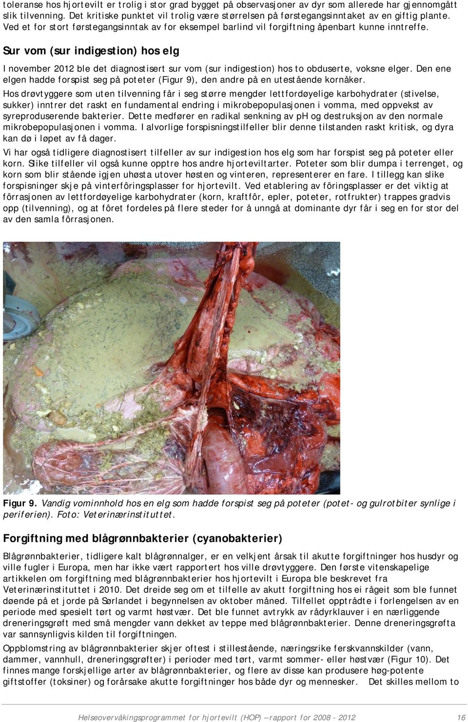 Sur vom (sur indigestion) hos elg I november 2012 ble det diagnostisert sur vom (sur indigestion) hos to obduserte, voksne elger.