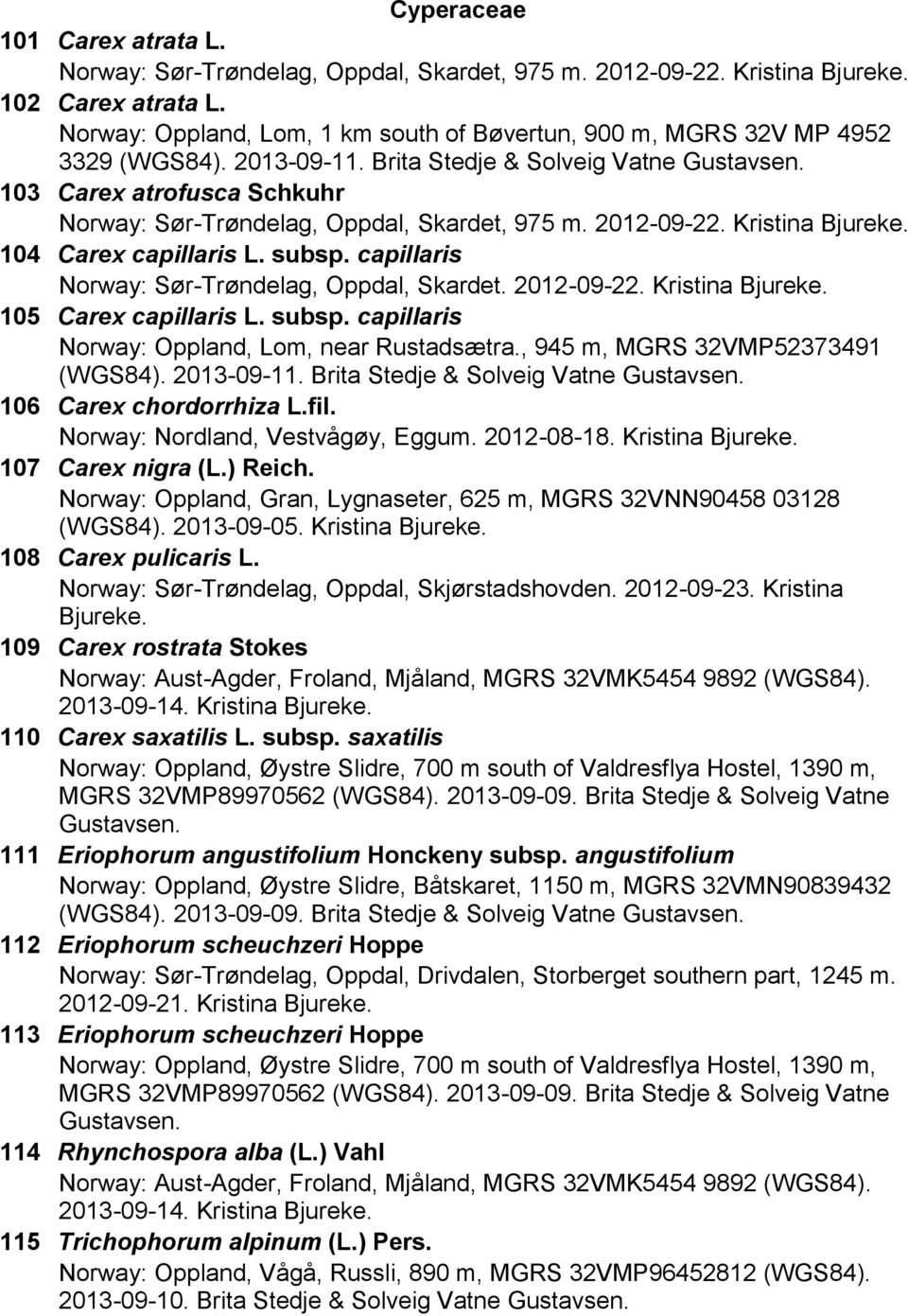 Kristina Bjureke. 104 Carex capillaris L. subsp. capillaris Norway: Sør-Trøndelag, Oppdal, Skardet. 2012-09-22. Kristina Bjureke. 105 Carex capillaris L. subsp. capillaris Norway: Oppland, Lom, near Rustadsætra.