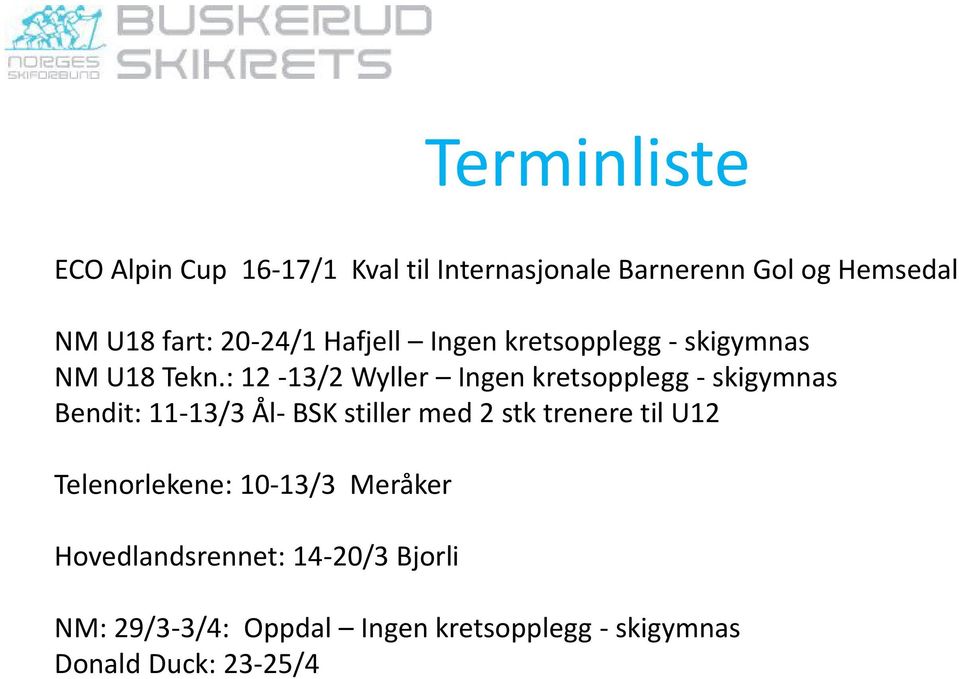 : 12-13/2 Wyller Ingen kretsopplegg - skigymnas Bendit: 11-13/3 Ål- BSK stiller med 2 stk trenere