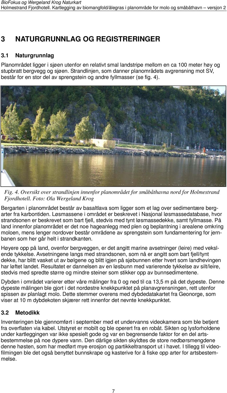 . Fig. 4. Oversikt over strandlinjen innenfor planområdet for småbåthavna nord for Holmestrand Fjordhotell.