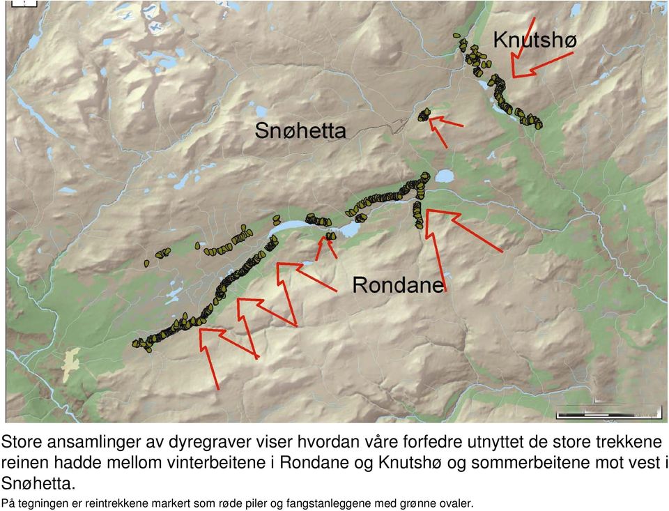 Rondane og Knutshø og sommerbeitene mot vest i Snøhetta.