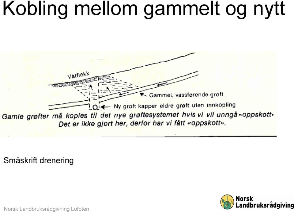 gammelt og