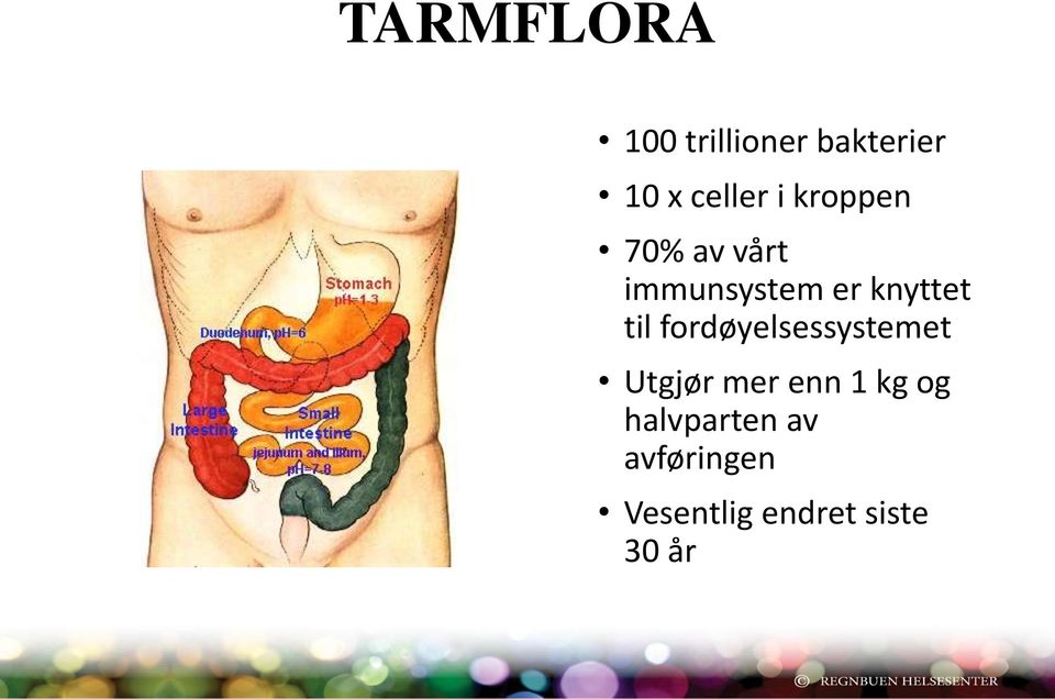 til fordøyelsessystemet Utgjør mer enn 1 kg og