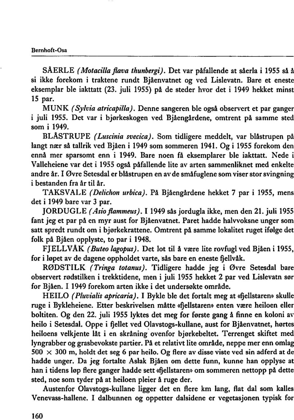 Det var i bjørkeskogen ved Bjaengårdene, omtrent på samme sted som i 1949. BLASTRUPE (Luscinia svecica).