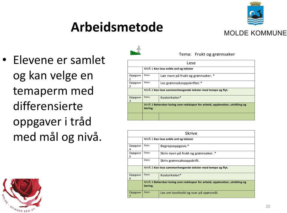 * NIVÅ 2 Kan lese sammenhengende tekster med tempo og flyt. Dato: Kostsirkelen* NIVÅ 3 Behersker lesing som redskaper for arbeid, opplevelser, utvikling og læring.